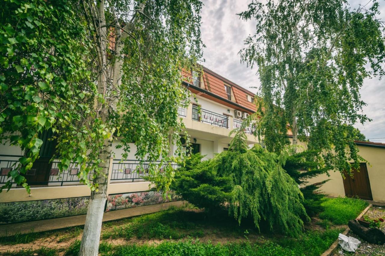 Hotel Amurg 南埃福列 外观 照片